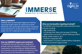 Image for IMMERSE Start-up Internship Programme
